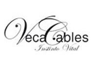 Veca cables 2001691